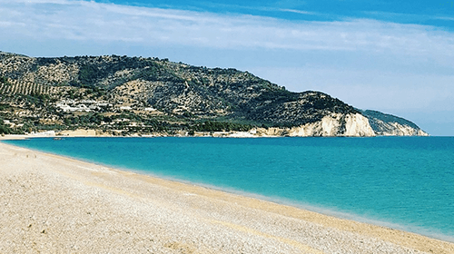 地中海の太陽と海風ですくすく育った、南イタリア・ガルガーノ産オリーブを使用